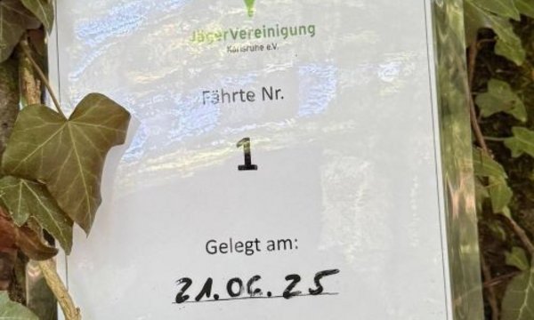 Schild hängt an Baum, zeigt: "Jägervereinigung Karlsruhe e.V.", "Fährte Nr. 1", "Gelegt am: 21.06.25", "16:30 Uhr", umgeben von grünen Efeublättern im Freien.