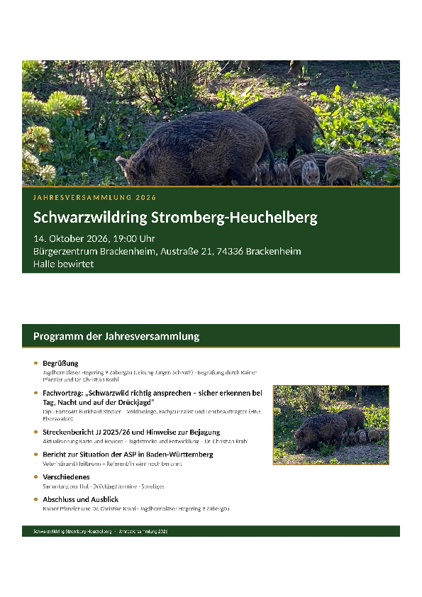 pdf-preview