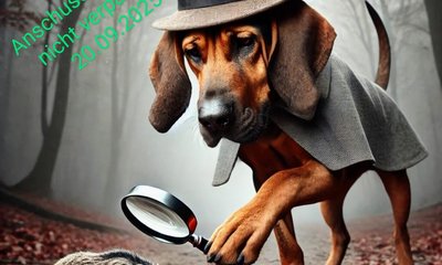 Ein Hund im Detektivkostüm betrachtet ein Wildschwein durch eine Lupe in einem nebligen Wald. Text: "Anschluss-Seminar nicht verpassen 20.09.2025. Es sind noch wenige Plätze frei sei dabei."