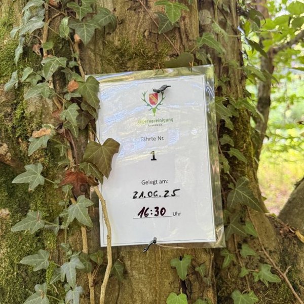 Ein laminiertes Blatt ist am Baum befestigt. Es zeigt das Logo einer Jägerschaft, die Aufschrift "Fährte Nr. 1, Gelegt am: 24.06.25, 16:30 Uhr", umgeben von Efeu im Wald.